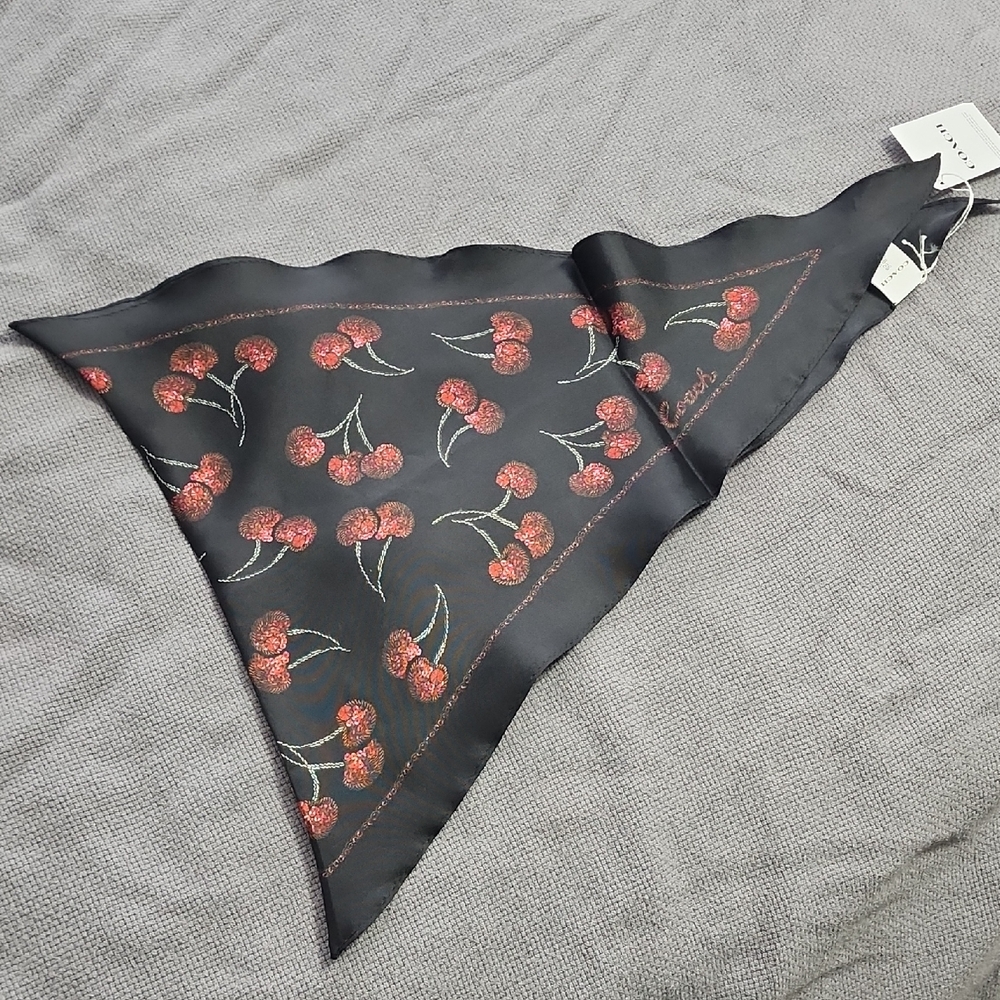 Coach Cherry Scarf